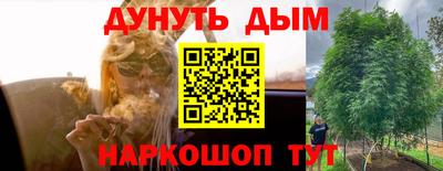 молекула духа Жуковский